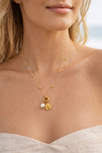 Load image into Gallery viewer, Sand Dollar & Freshwater Pearl Gold Plated Stainless Steel necklace