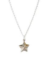 Load image into Gallery viewer, 3D Star Sterling Silver Necklace