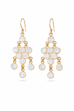 Load image into Gallery viewer, Inika Chandelier 10 gem cascading Earrings
