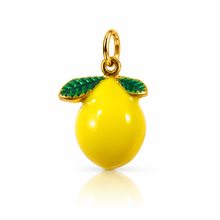 Load image into Gallery viewer, Colourful fruit charms - Watermelon |Orange |Lemon |Strawberry
